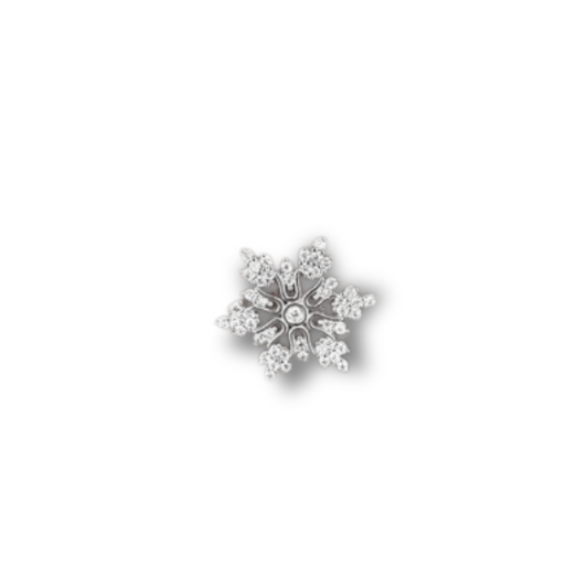 Snowflake Earrings